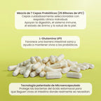 MATTER PROBIVOS ADULTOS PROBIÓTICOS CON GLUTAMINA