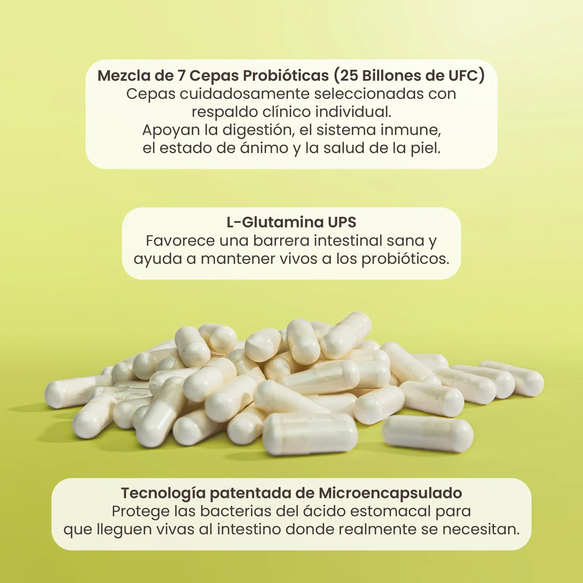 MATTER PROBIVOS ADULTOS PROBIÓTICOS CON GLUTAMINA