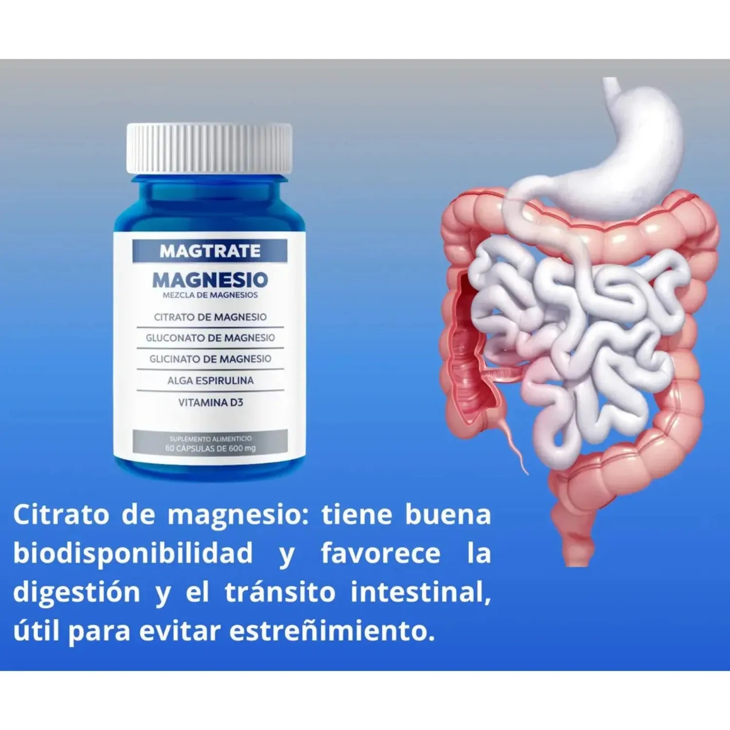 Magtrate Mezcla De Magnesios Con 60 Capsulas 600mg