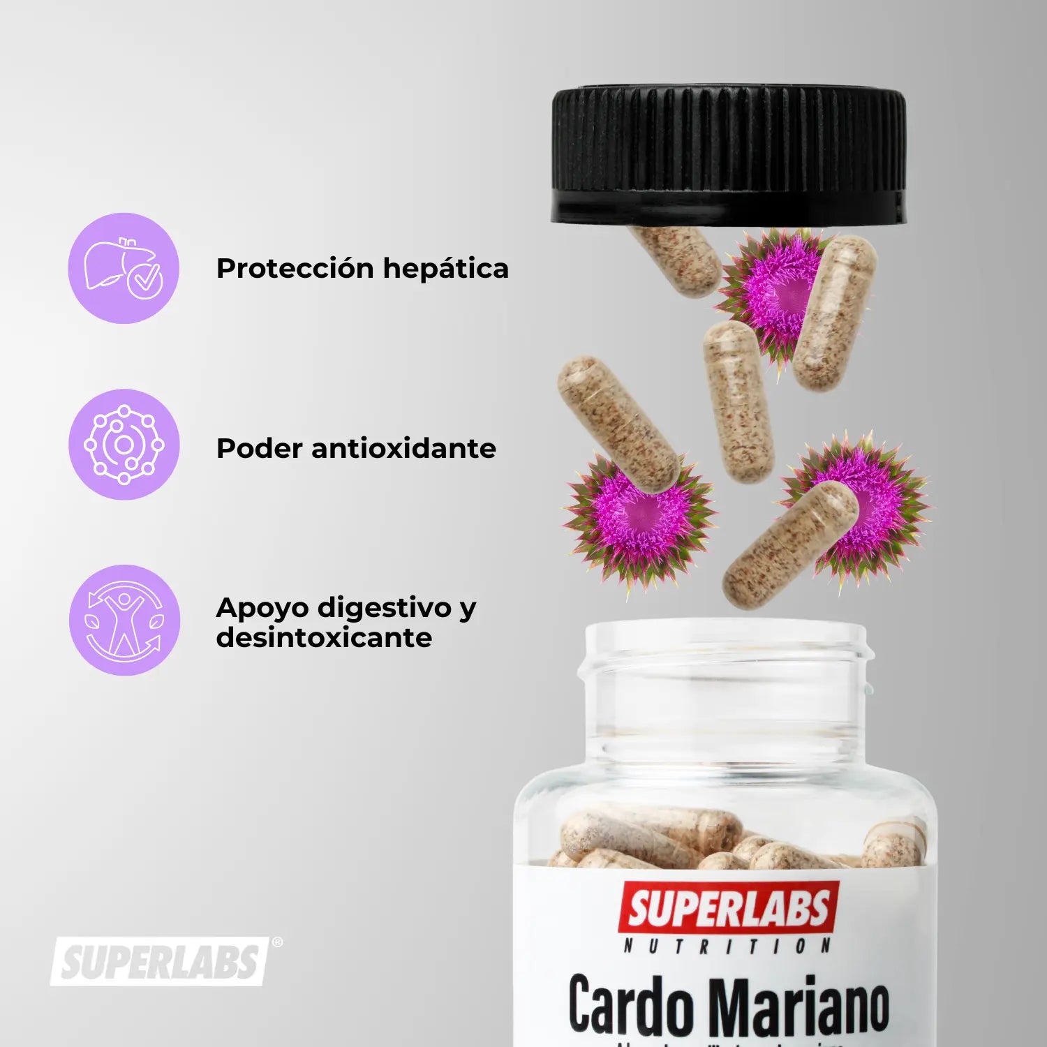 Superlabs Nutrition Cardo Mariano 500 mg - 100 caps | Semilla de Cardo Mariano 100% Pura | Antioxidante natural | Fórmula limpia sin aditivos | Suplemento alimenticio