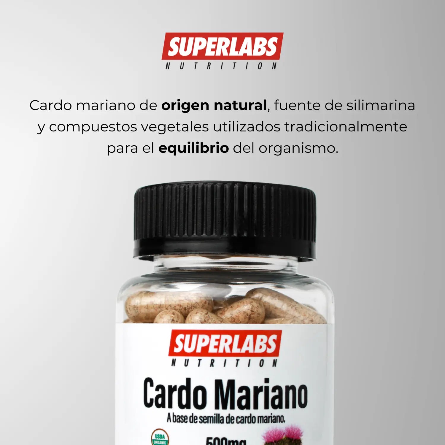 Superlabs Nutrition Cardo Mariano 500 mg - 100 caps | Semilla de Cardo Mariano 100% Pura | Antioxidante natural | Fórmula limpia sin aditivos | Suplemento alimenticio