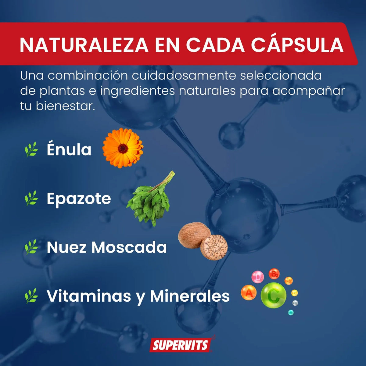 Supervits Suplemento Wortex, Desintoxicante, Desparasitante 20 Capsulas