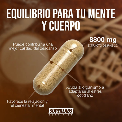 Ashwagandha 8800 mg Superlabs Nutrition 120 Cápsulas Extracto de Raíz 20:1 Suplemento Alimenticio para Estrés Relajación Energía y Bienestar General