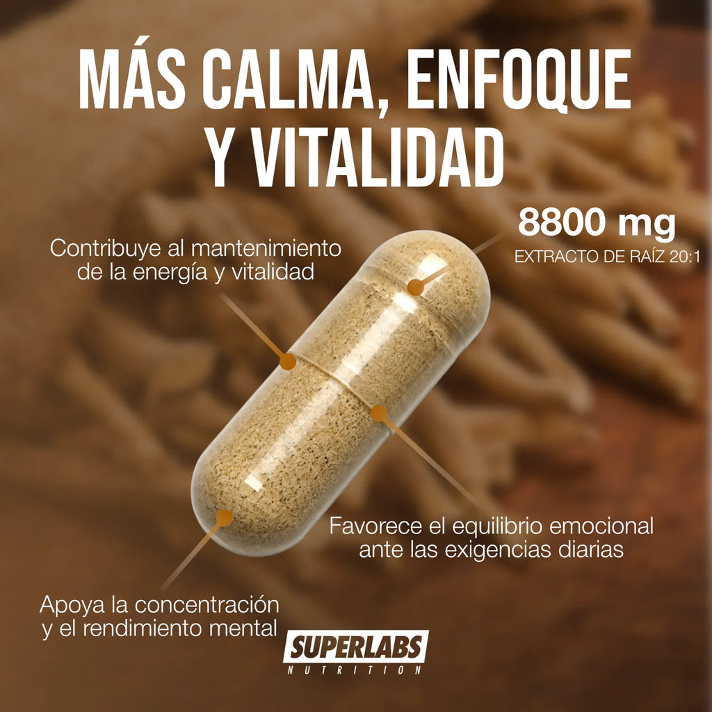 Ashwagandha 8800 mg Superlabs Nutrition 60 Cápsulas Extracto de Raíz 20:1 Suplemento Alimenticio para Estrés Relajación Energía y Bienestar General