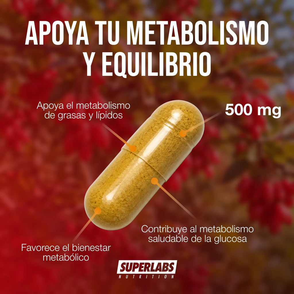 Extracto de Berberina 500 mg Superlabs Nutrition 60 Cápsulas Suplemento Alimenticio para Apoyo Metabólico y Bienestar Digestivo