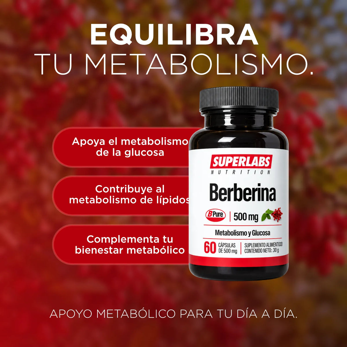 Extracto de Berberina 500 mg Superlabs Nutrition 60 Cápsulas Suplemento Alimenticio para Apoyo Metabólico y Bienestar Digestivo