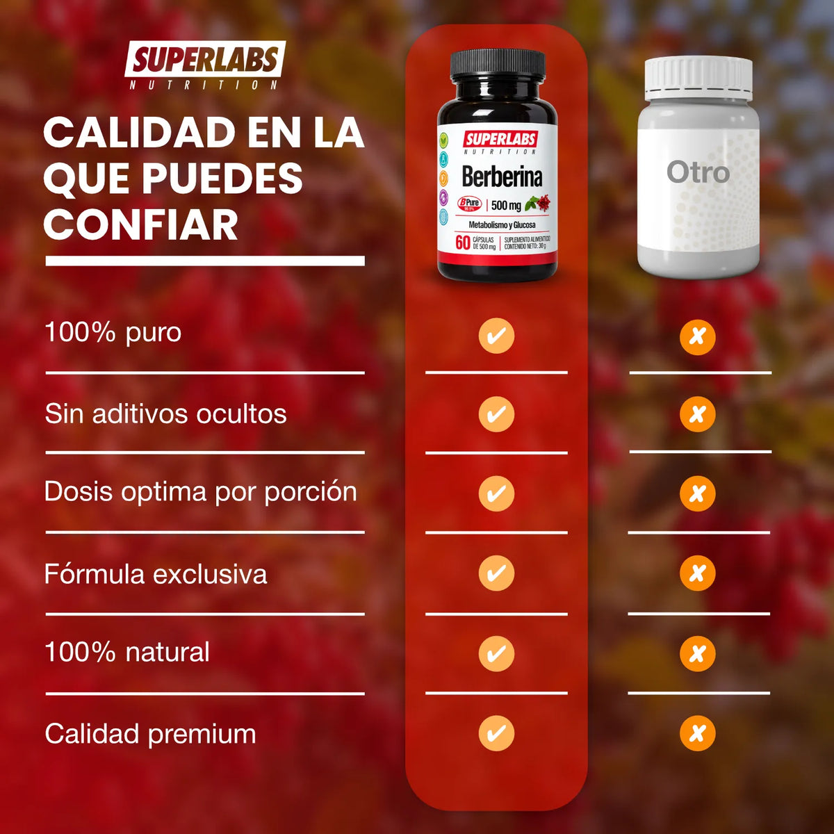 Extracto de Berberina 500 mg Superlabs Nutrition 60 Cápsulas Suplemento Alimenticio para Apoyo Metabólico y Bienestar Digestivo