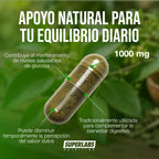 Gymnema Sylvestre 1000 mg Superlabs Nutrition 120 Cápsulas Suplemento Alimenticio para Apoyo Metabólico y Mantenimiento de Niveles Saludables de Glucosa