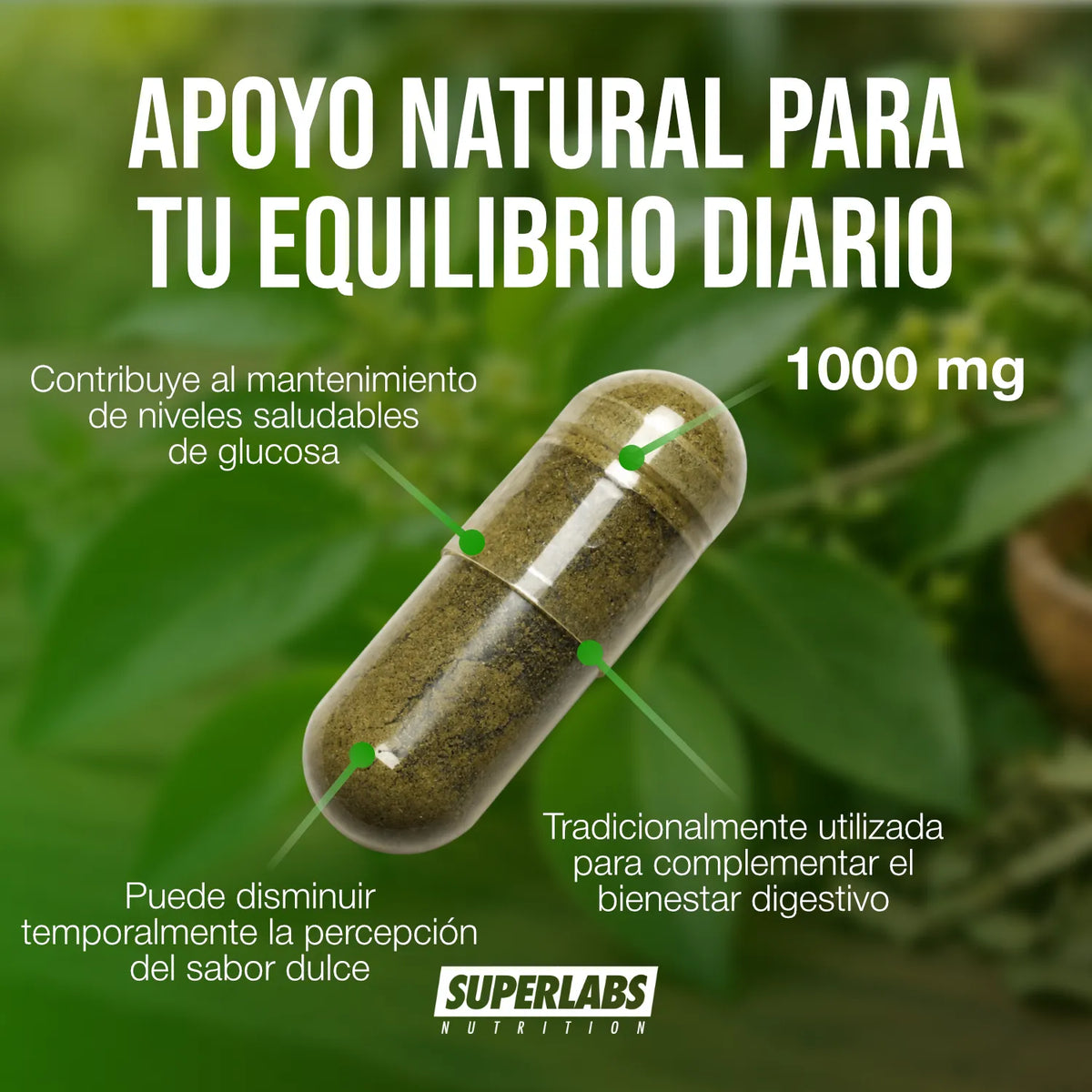 Gymnema Sylvestre 1000 mg Superlabs Nutrition 120 Cápsulas Suplemento Alimenticio para Apoyo Metabólico y Mantenimiento de Niveles Saludables de Glucosa