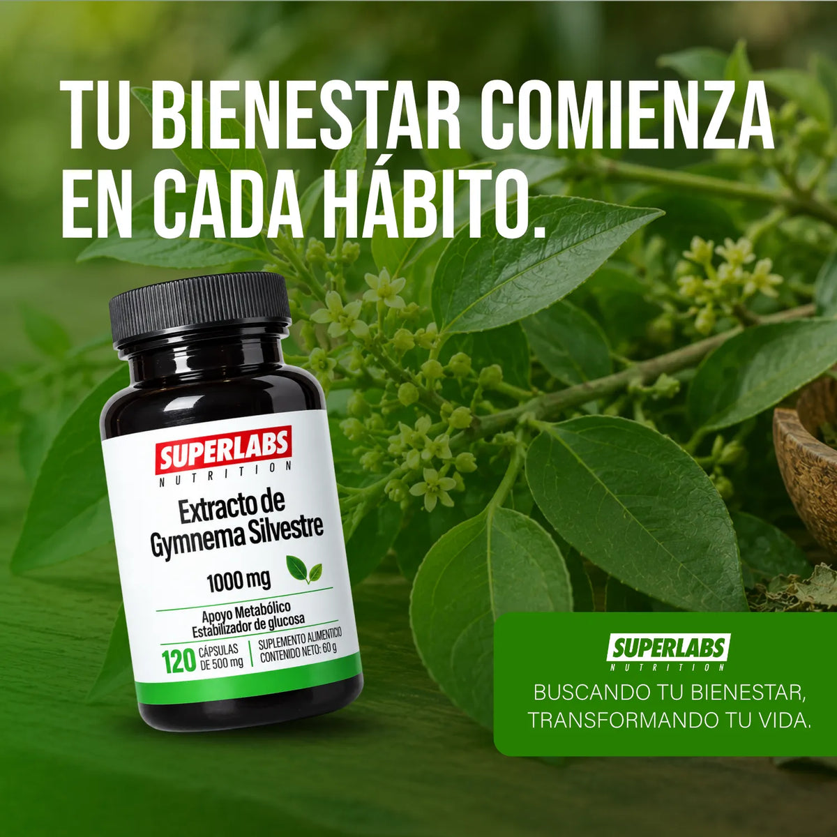 Gymnema Sylvestre 1000 mg Superlabs Nutrition 120 Cápsulas Suplemento Alimenticio para Apoyo Metabólico y Mantenimiento de Niveles Saludables de Glucosa