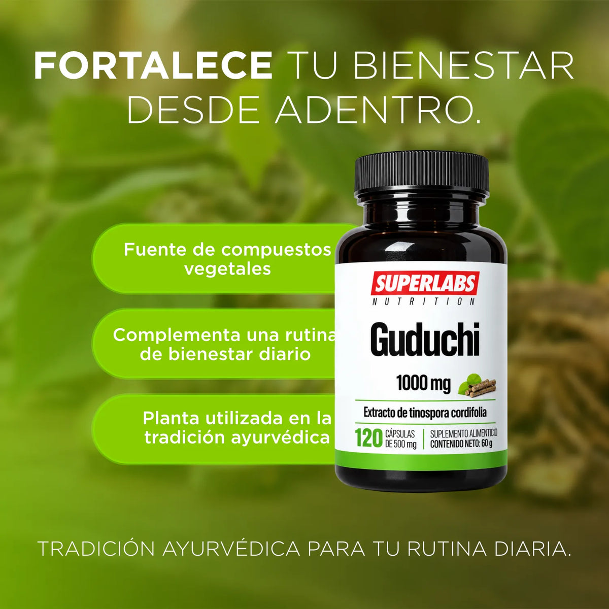Guduchi 1000 mg Superlabs Nutrition 129 Cápsulas Suplemento Alimenticio con Antioxidantes para Apoyo al Sistema Inmune Vitalidad y Bienestar General