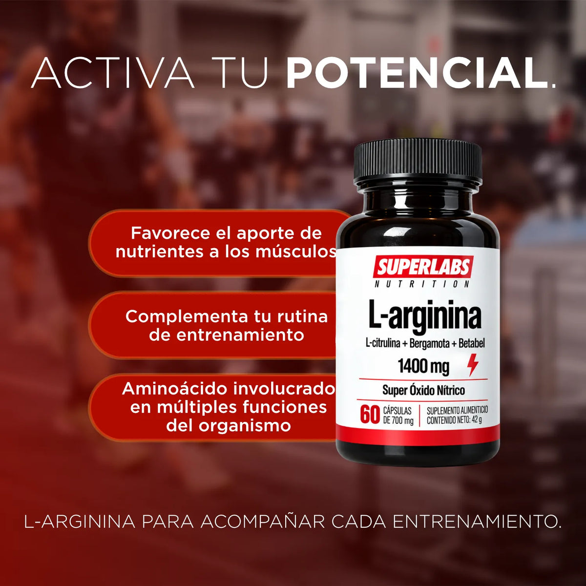 L-Arginina 1400 mg Superlabs Nutrition 60 Cápsulas Suplemento Alimenticio para Rendimiento Físico Circulación y Producción de Óxido Nítrico
