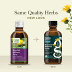 GAIA HERBS | GaiaKids Bronchial Wellness Jarabe Herbal con Miel y Gordolobo | 89 ml | Apoyo Respiratorio y Bienestar de la Garganta Infantil