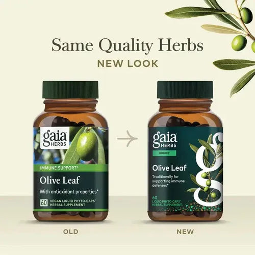 GAIA HERBS | Olive Leaf Extracto de Hoja de Olivo 680 mg | 120 Cápsulas Veganas | Apoyo Inmunológico y Protección Antioxidante