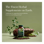 GAIA HERBS | Olive Leaf Extracto de Hoja de Olivo 680 mg | 120 Cápsulas Veganas | Apoyo Inmunológico y Protección Antioxidante