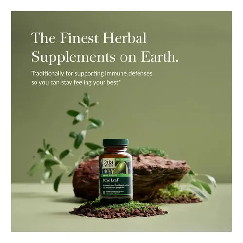 GAIA HERBS | Olive Leaf Extracto de Hoja de Olivo 680 mg | 120 Cápsulas Veganas | Apoyo Inmunológico y Protección Antioxidante