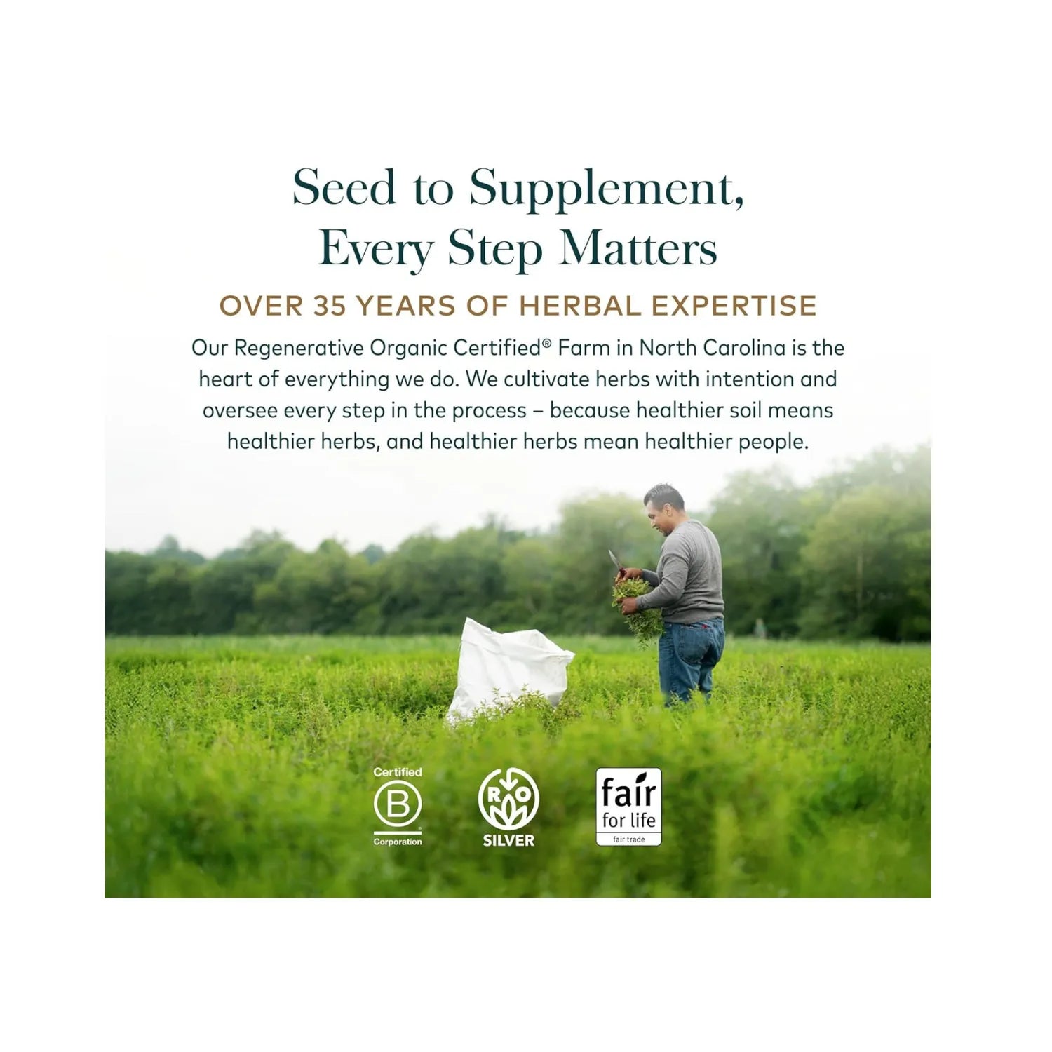 Gaia Herbs Ashwagandha Root