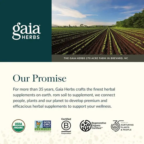 GAIA HERBS | GaiaKids Black Elderberry Gomitas de Saúco Negro Orgánico 429 mg | 40 Gomitas Veganas | Apoyo Inmunológico Infantil y Antioxidantes