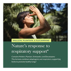 GAIA HERBS | Mighty Lungs Apoyo Pulmonar con Gordolobo y Llantén | 60 Fitocápsulas Veganas | Bienestar Respiratorio y Pulmonar