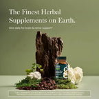 GAIA HERBS | Lion's Mane Mushroom Melena de León Orgánica 450 mg | Cápsulas Veganas | Apoyo a la Memoria, Concentración y Salud Cerebral