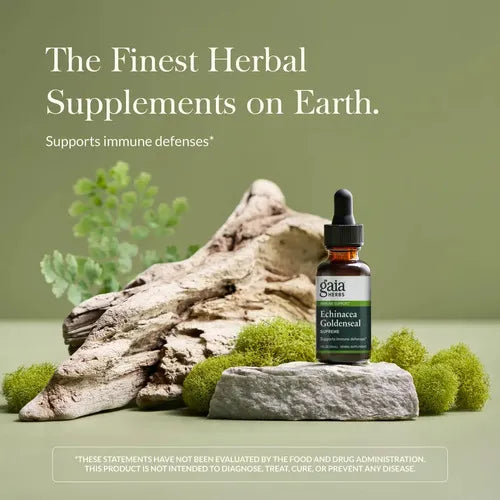 GAIA HERBS | Echinacea Goldenseal Supreme con Equinácea y Sello de Oro | 30 ml | Apoyo al Sistema Inmunológico y Bienestar Respiratorio