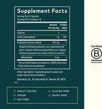 GAIA HERBS | Echinacea Supreme con Equinácea Orgánica | 60 Fitocápsulas Veganas | Apoyo al Sistema Inmunológico y Defensas Naturales