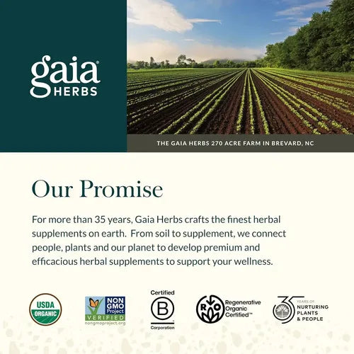 GAIA HERBS | Echinacea Supreme con Equinácea Orgánica | 60 Fitocápsulas Veganas | Apoyo al Sistema Inmunológico y Defensas Naturales