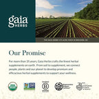 GAIA HERBS | Echinacea Supreme con Equinácea Orgánica | 60 Fitocápsulas Veganas | Apoyo al Sistema Inmunológico y Defensas Naturales