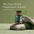 GAIA HERBS | Green Tea Té Verde Orgánico 702 mg | 60 Cápsulas Veganas | Apoyo Antioxidante, Energía y Bienestar Cardiovascular