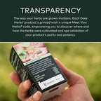 Gaia Herbs Black Elderberry | Saúco Negro Orgánico | 89 ml | Apoyo Inmunológico y Protección Antioxidante | Suplemento Alimenticio