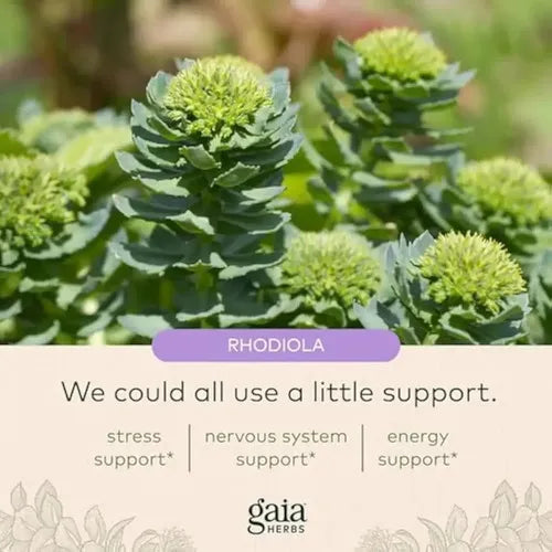 GAIA HERBS | Adrenal Health Daily Support con Rhodiola y Ashwagandha | 120 Fitocápsulas Veganas | Apoyo al Estrés, Energía y Bienestar General