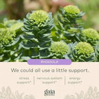 GAIA HERBS | Adrenal Health Daily Support con Rhodiola y Ashwagandha | 120 Fitocápsulas Veganas | Apoyo al Estrés, Energía y Bienestar General