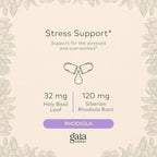 GAIA HERBS | Adrenal Health Daily Support con Rhodiola y Ashwagandha | 120 Fitocápsulas Veganas | Apoyo al Estrés, Energía y Bienestar General