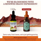 Herbs Etc., Lymphatonic, Suplemento para reforzar la salud del sistema linfático, 30 ml (1 oz. líq.)