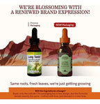 HERBS ETC. | Lung Tonic Tónico Pulmonar con Gordolobo, Osha y Equinácea | 30 ml (1 oz) | Apoyo Respiratorio y Bienestar Pulmonar