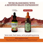 HERBS ETC. | Respiratonic Extracto Líquido con Osha, Equinácea y Yerba Santa | 59 ml (2 oz) | 79 Porciones | Apoyo Respiratorio y Bienestar Pulmonar