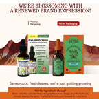 Herbs Etc., ChlorOxygen, Concentrado de clorofila, Sin alcohol, 30 ml (1 oz. líq.)