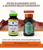 HERBS ETC. | Kidney Tonic Tónico Herbal para Riñones | 60 Cápsulas Blandas | Apoyo Renal y Bienestar Urinario