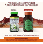 HERBS ETC. | ChlorOxygen Concentrado de Clorofila 50 mg | 60 Cápsulas Blandas | Apoyo Energético y Bienestar General