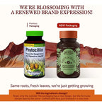 HERBS ETC. | Phytocillin con Equinácea, Usnea y Propóleo | 60 Cápsulas Blandas | Apoyo Respiratorio, Digestivo e Inmunológico