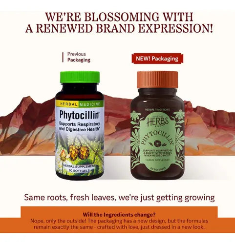HERBS ETC. | Phytocillin con Equinácea, Usnea y Propóleo | 60 Cápsulas Blandas | Apoyo Respiratorio, Digestivo e Inmunológico