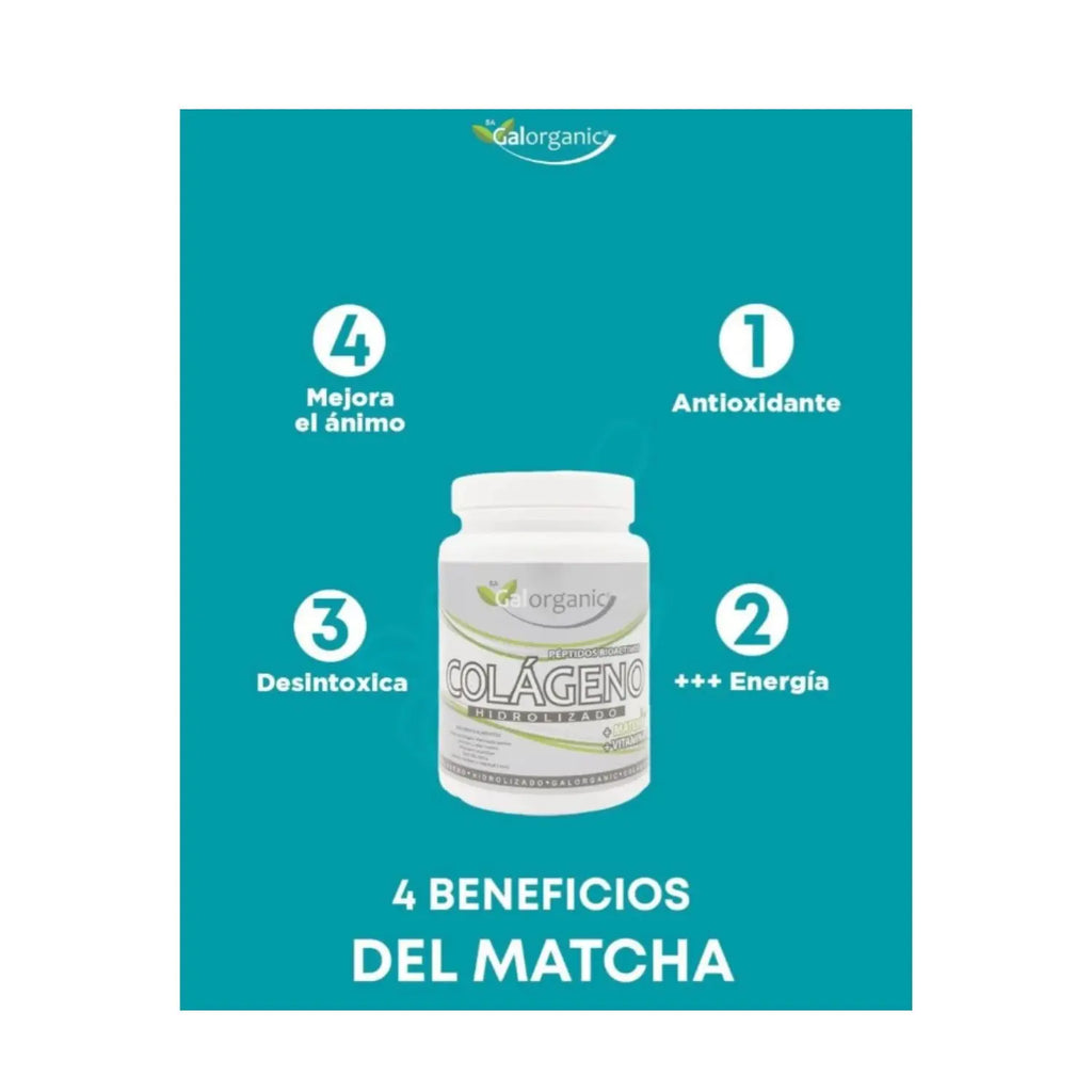 Galorganic Colágeno Hidrolizado Matcha Y Vitamina C 500g