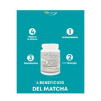 Galorganic Colágeno Hidrolizado Matcha Y Vitamina C 500g