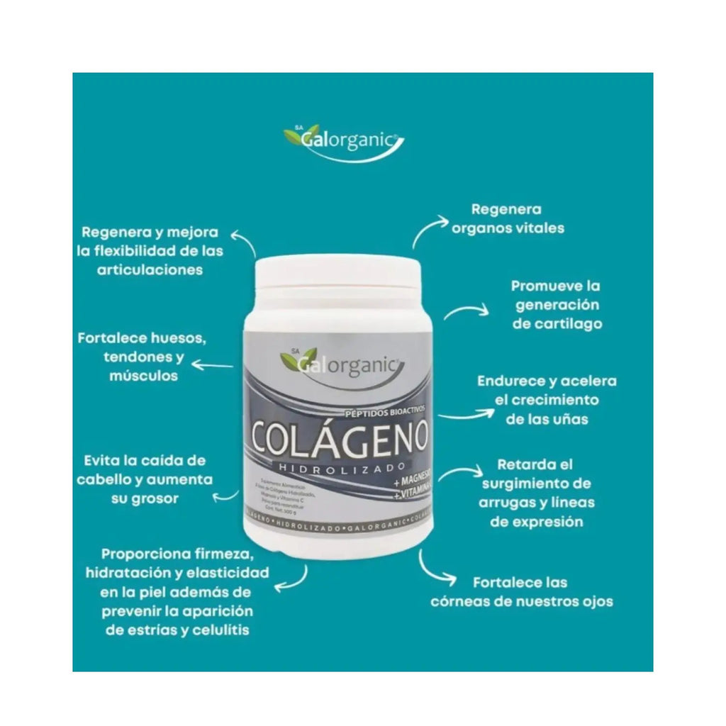 Galorganic Colágeno Hidrolizado Matcha Y Vitamina C 500g