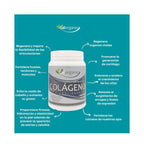 Galorganic Colágeno Hidrolizado Matcha Y Vitamina C 500g