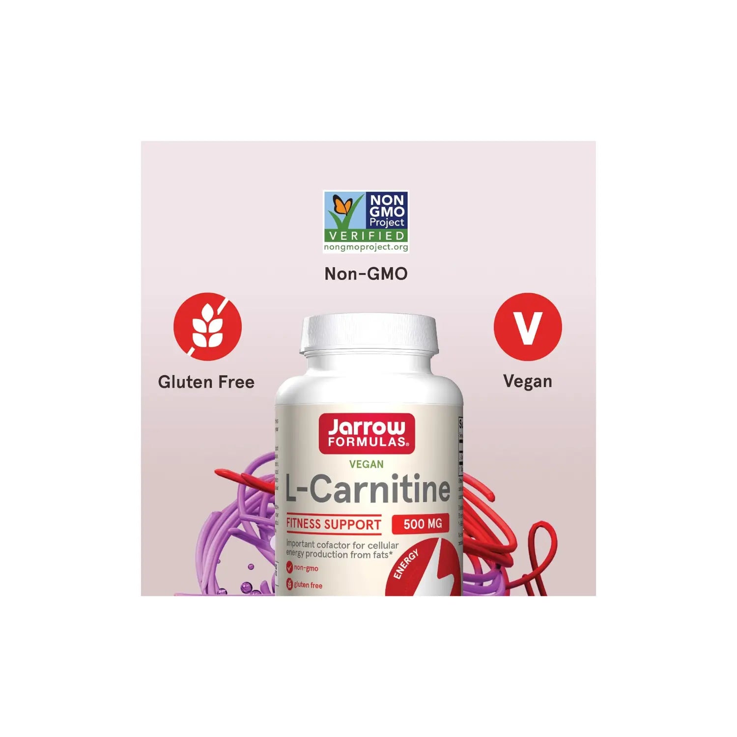 Jarrow Formulas L-carnitina 500Mg 100 Cápsulas Vegetales Sfn