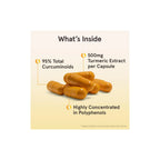 Jarrow Formulas Curcumina 95 Extracto 500 mg 120 vcaps sfn