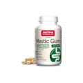 Jarrow Formulas Goma de masilla 500mg 60 capsulas sfn