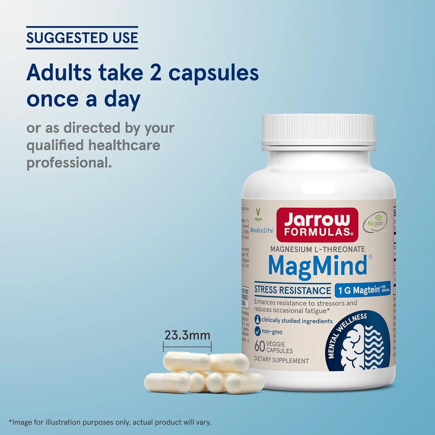 Jarrow formulas Magmind magnesio y l teanina 60 caps sfn