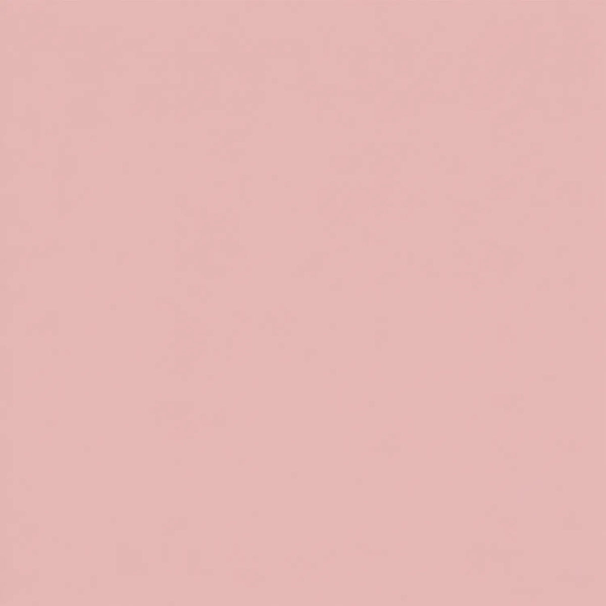 LAFE'S Bálsamo Labial Orgánico con Color Honest | Hidratación y color natural para labios | Con mantecas y aceites vegetales | Sin parabenos ni ingredientes artificiales | Bálsamo labial natural con color
